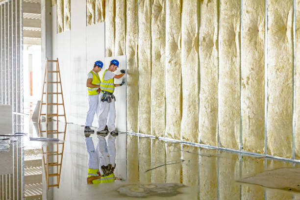 Best Insulation Maintenance and Repair in Homer, MI